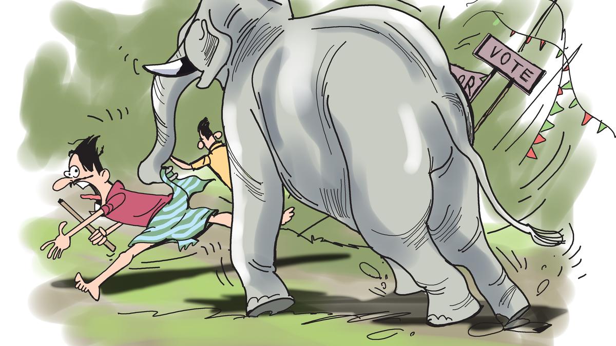 Human-wildlife conflicts emerge as talking point in key constituencies