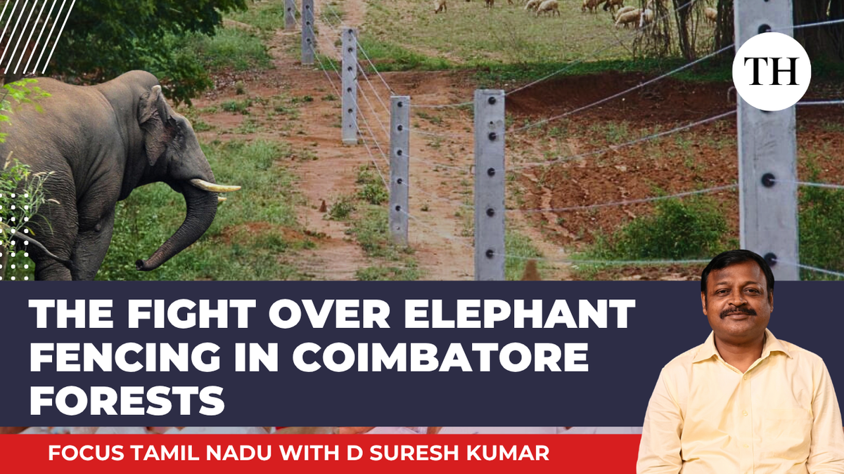 Watch: The fight over elephant fencing in Coimbatore forests