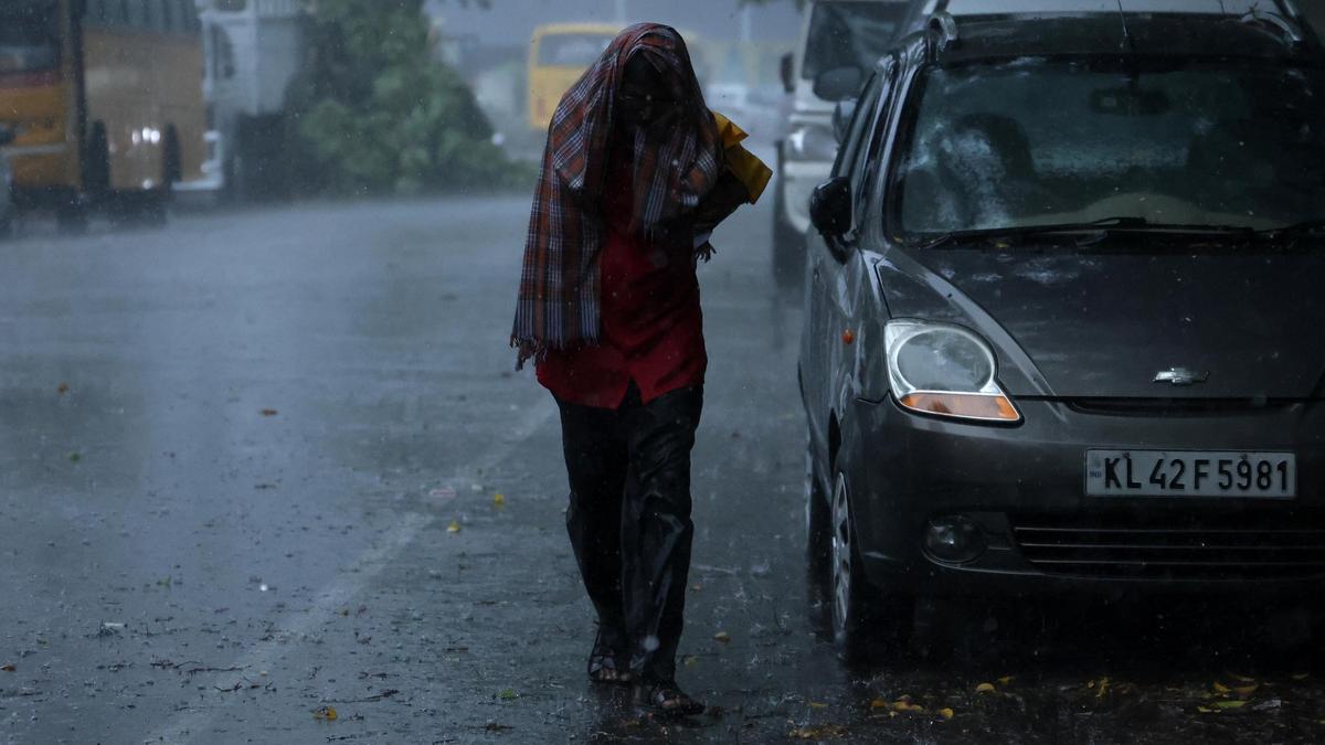 Kerala rains: Yellow alert for seven districts