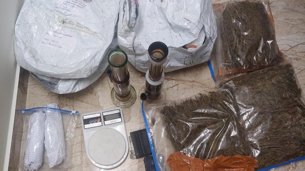 Manipal police arrest Telangana native on charges of peddling cannabis