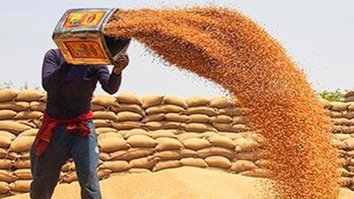 Government imposes stock limits on wheat to prevent hoarding