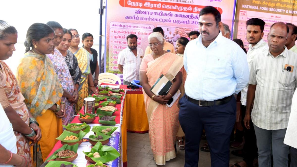Collector inaugurates District-level Millet Festival in Krishnagiri