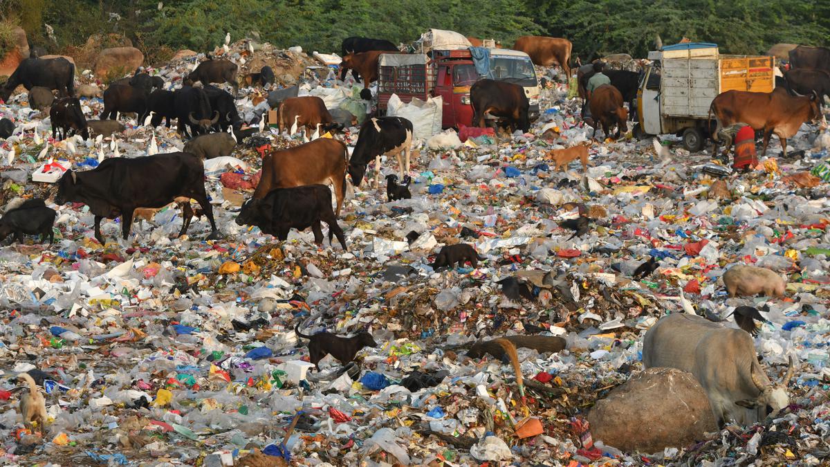 With single-use plastic products omnipresent, ban ineffective in Hyderabad