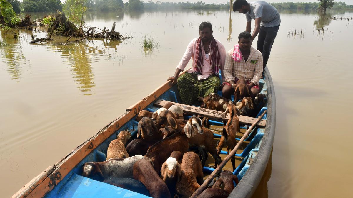 The great Godavari floods