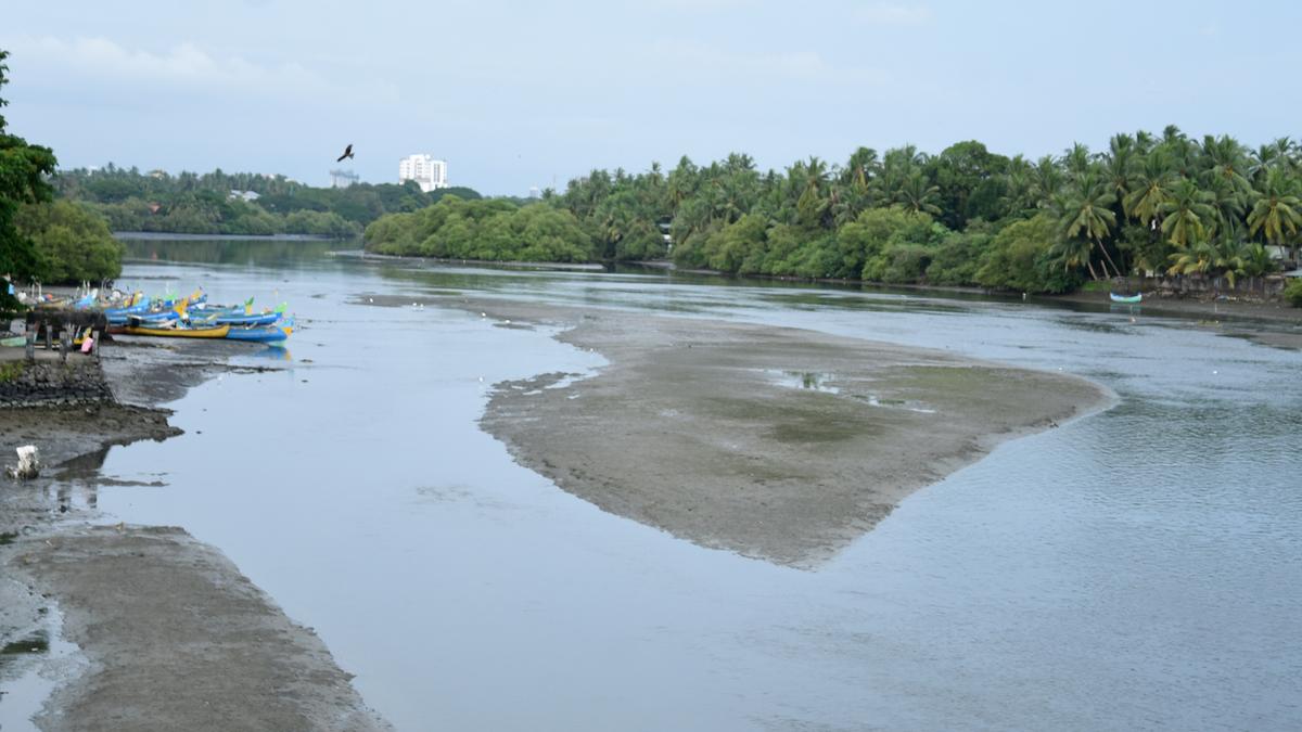 Kallai river revival to begin amid concerns over sea waste disposal plan