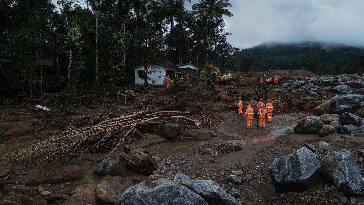 NGT impleads Kerala, T.N. govts. in suo motu case on Wayanad landslides