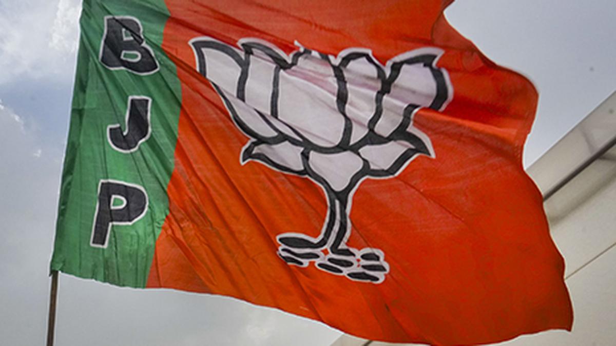 BJP announces 29 more candidates for Delhi elections.