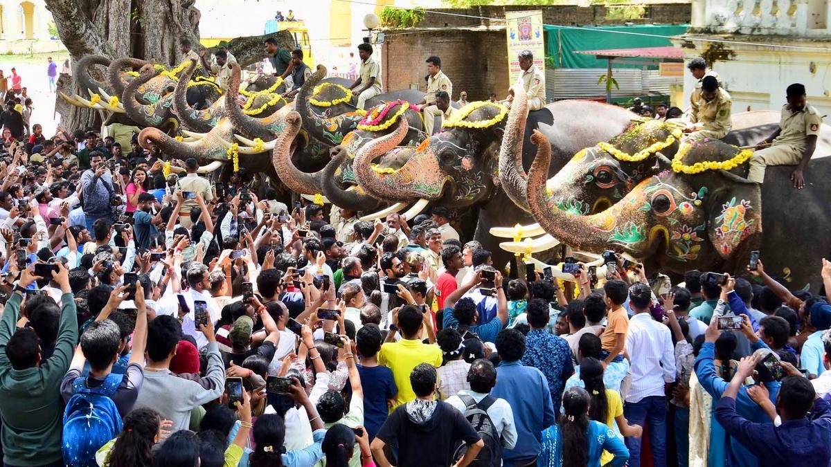 Dasara elephants accorded a warm farewell as they return to their respective jungle camps