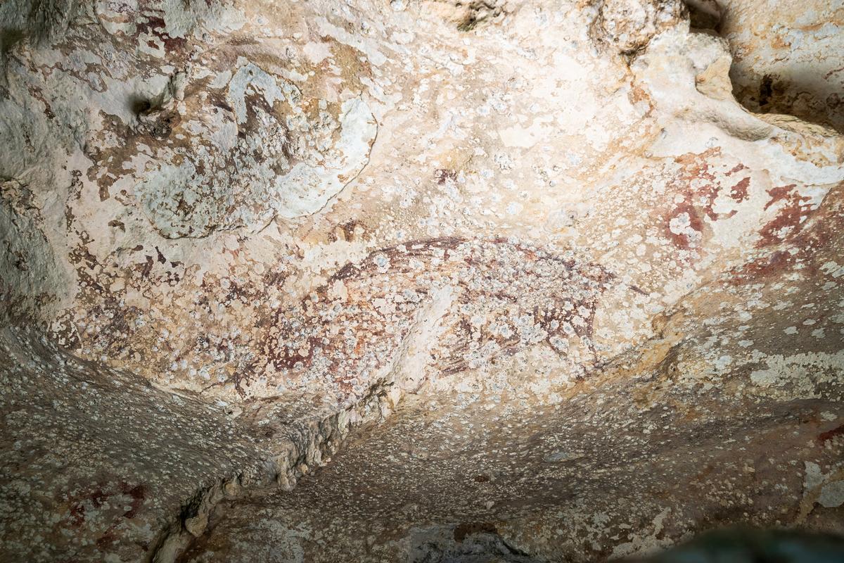 Lukisan gua tertua di Indonesia di dunia menampilkan gambar babi dan manusia