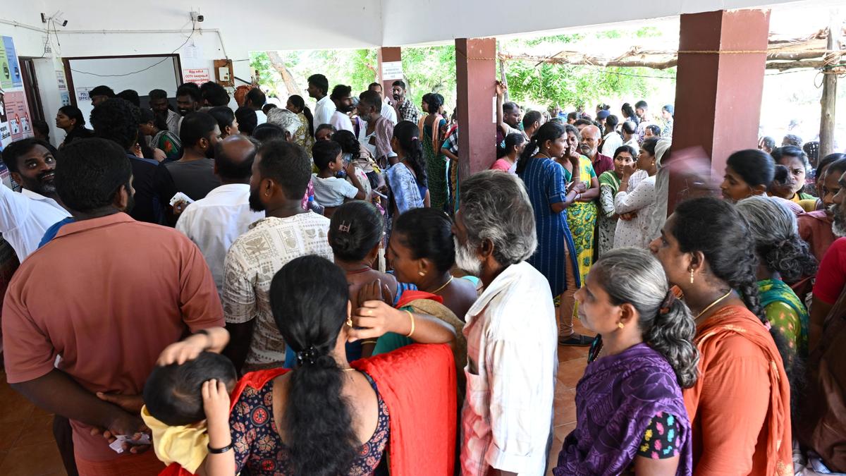 Tenkasi records 82% voter turnout in incident-free polling; Alangulam segment tops the list with 85%