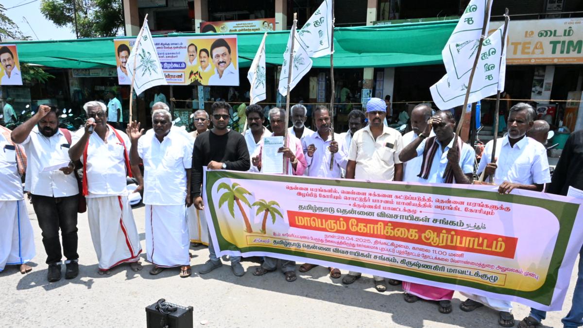 Coconut growers demand steps to contain coconut palm disease; stage protest in Krishnagiri