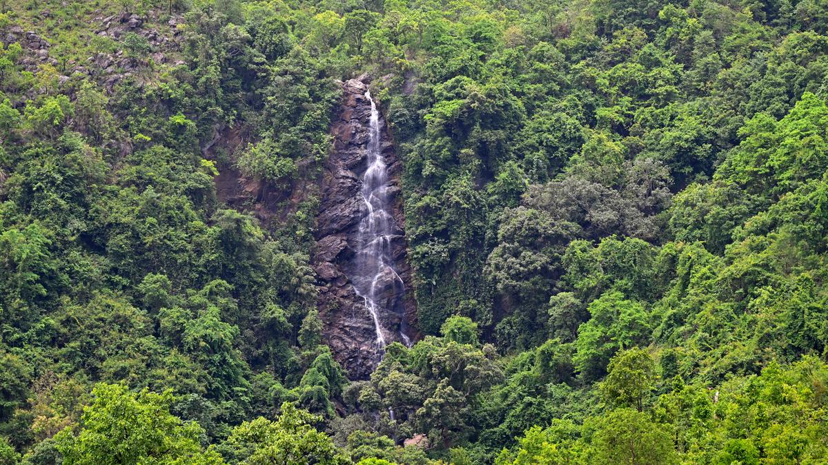 https://th-i.thgim.com/public/incoming/xeq474/article69683561.ece/alternates/LANDSCAPE_1200/01WaterFall.jpg