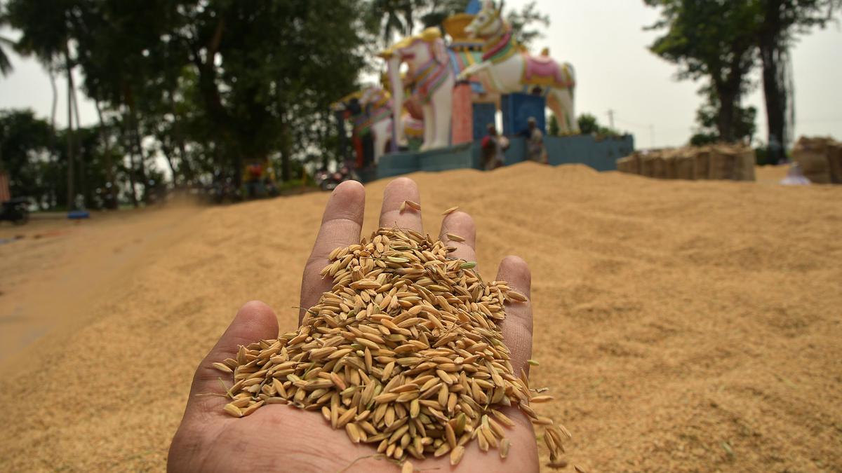 To curb malpractices, Mayiladuthurai administration plans electronic weighing, system-generated billing of paddy