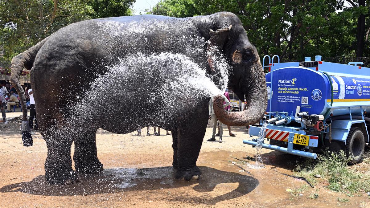 Mercury breaches 36° Celsius mark in Bengaluru