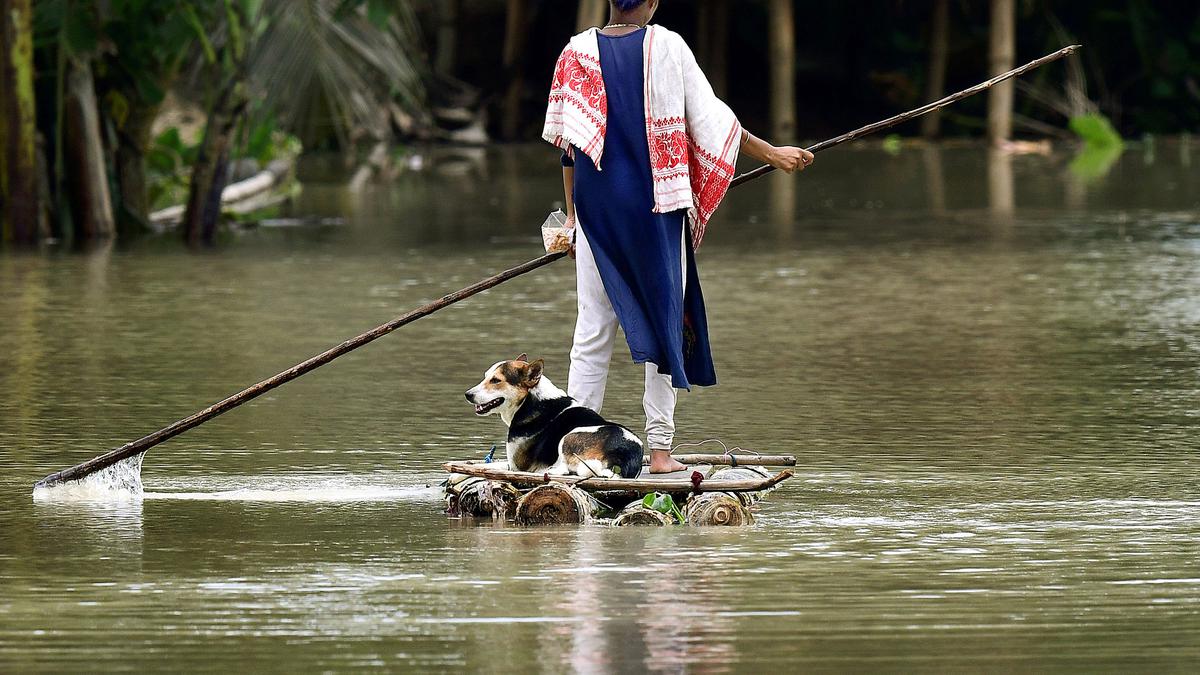 World Bank approves $108 million to improve Assam's flood, disaster preparedness