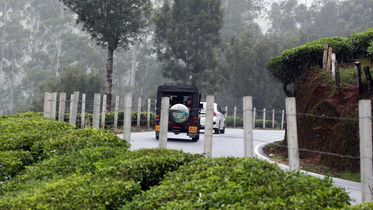 Barbed fences to be removed from tea plantations in Munnar to facilitate smooth passage for wild elephants