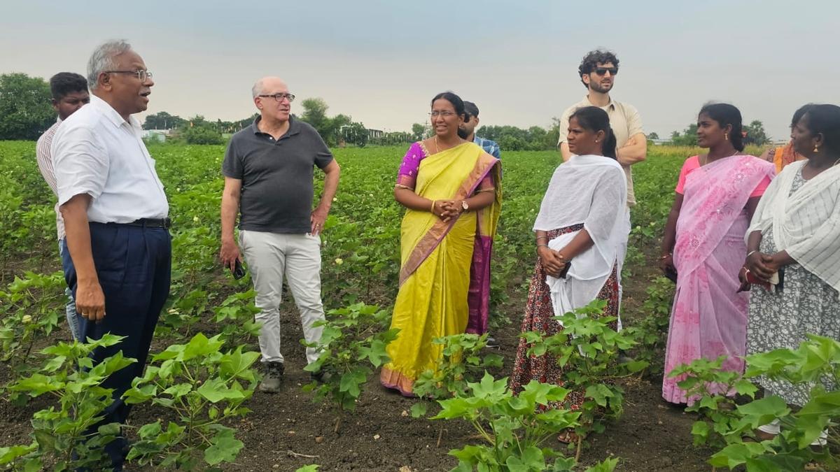 U.S. delegates visit agricultural fields in Palnadu to study natural farming techniques