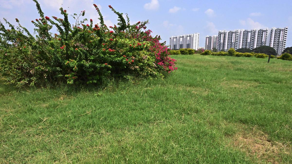 Coimbatore Corporation plans bio-mining to reclaim land at Kavundampalayam compost yard