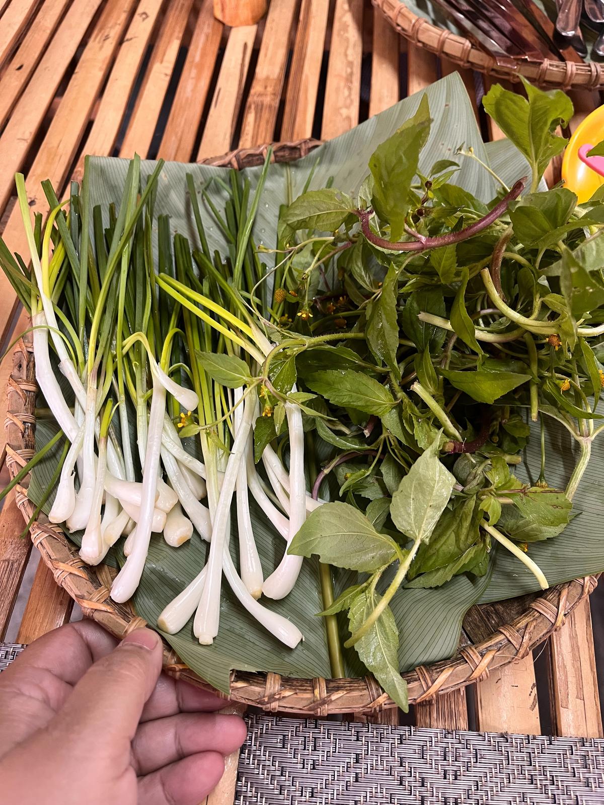 Foraged shoots as sides in Meghalaya is a common thing 