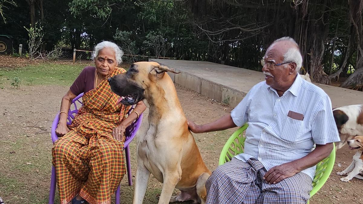 Families use Deepavali holidays to spend quality time together with farm visits, pet zoos