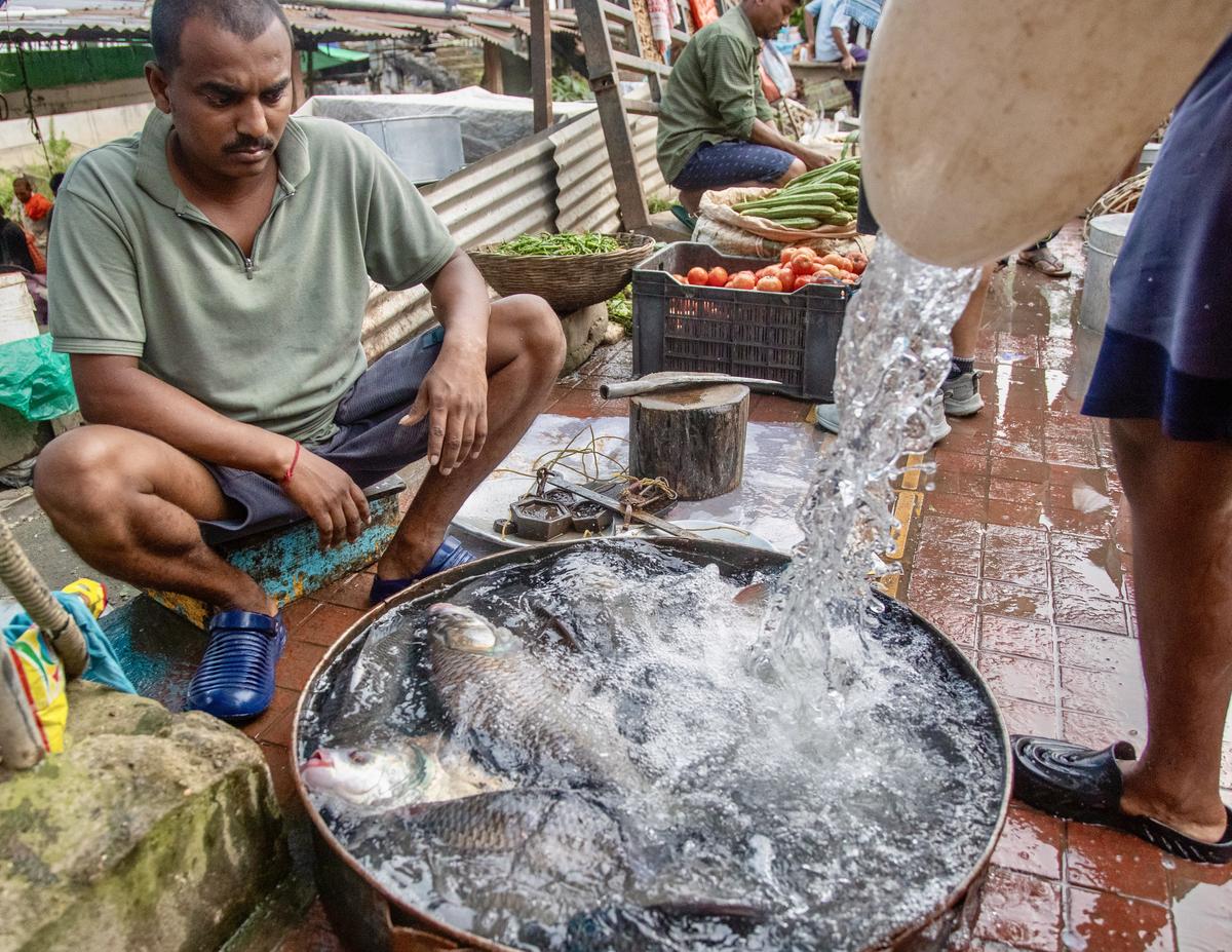 Guwahati fish  market