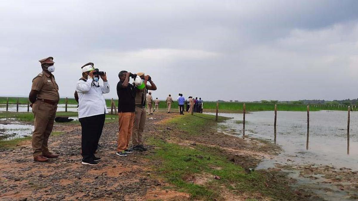 Annual bird census in Kaliveli, Oussudu sanctuaries and wetlands in Villupuram district on January 28, 29