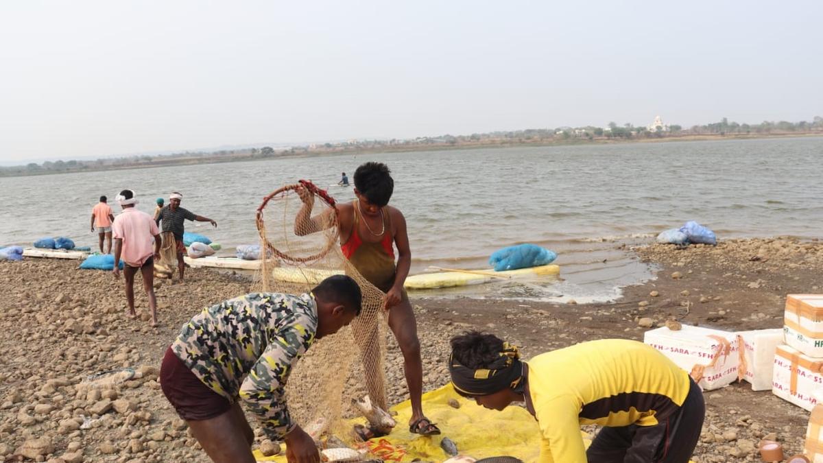 Janawada lake rejuvenation offers new lease of life to Bidar fishermen, draws tourists