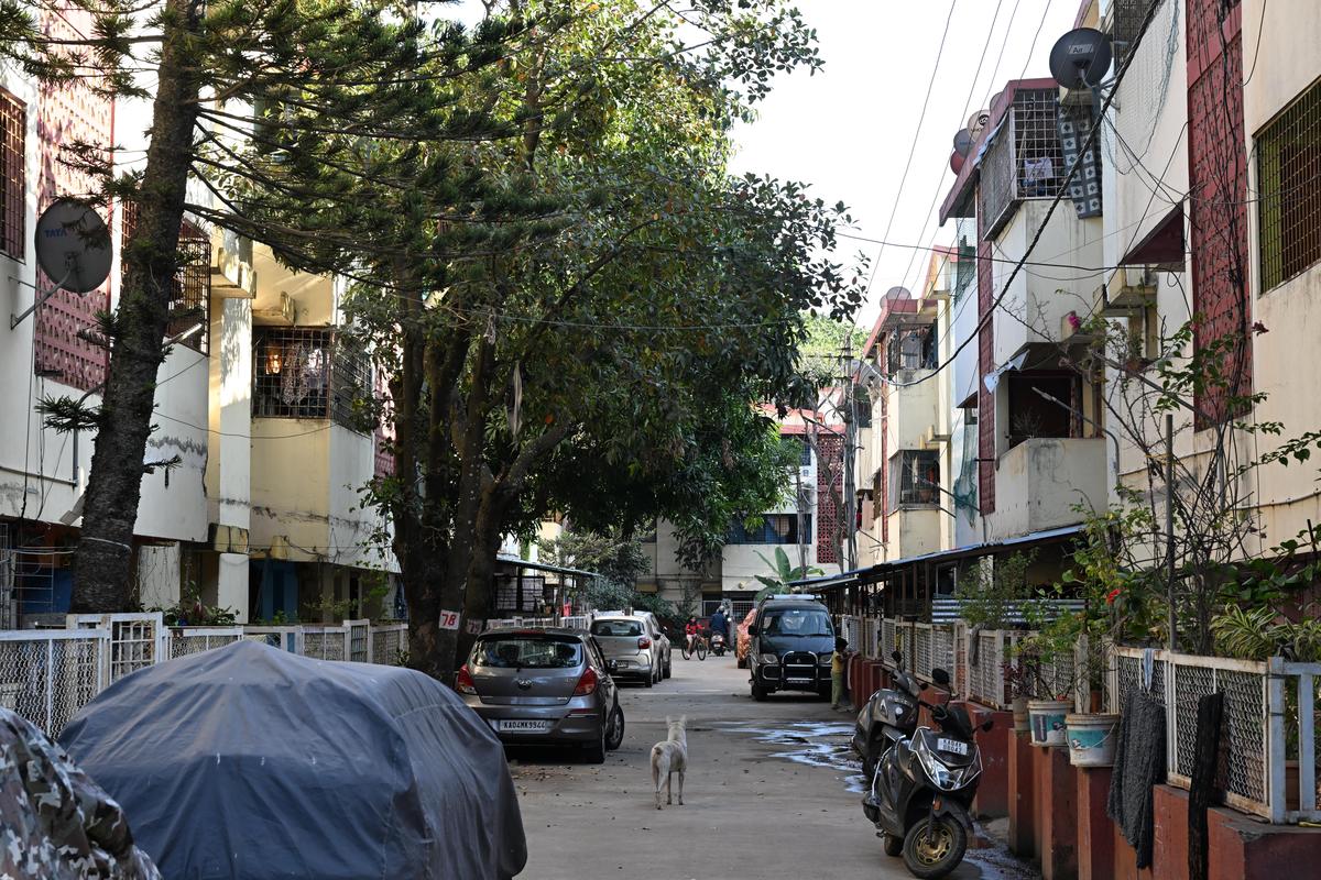 Cantonment Railway Colony: With biodiversity heritage site tag withdrawn, activists  feel 368 trees could be axed - The Hindu