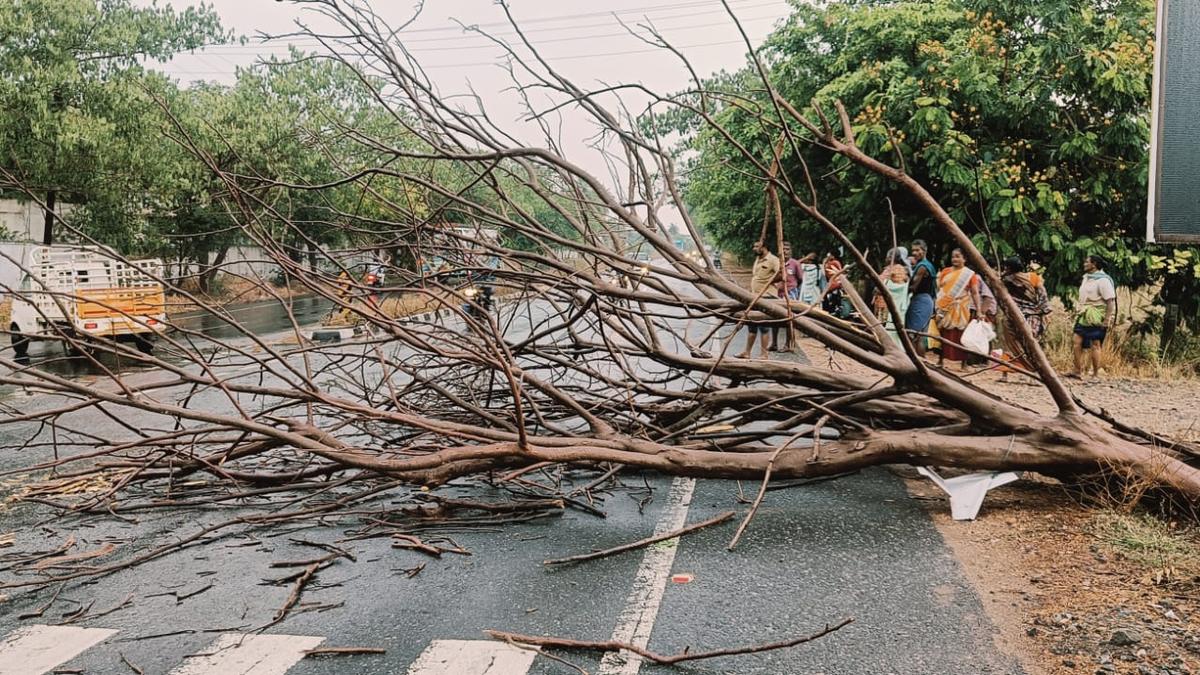 Rain brings respite from intense heat in Tiruppur