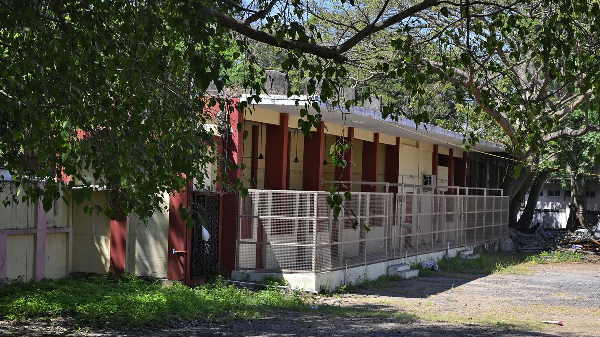 With selection of NGO, animal birth control programme to be implemented soon in Puducherry