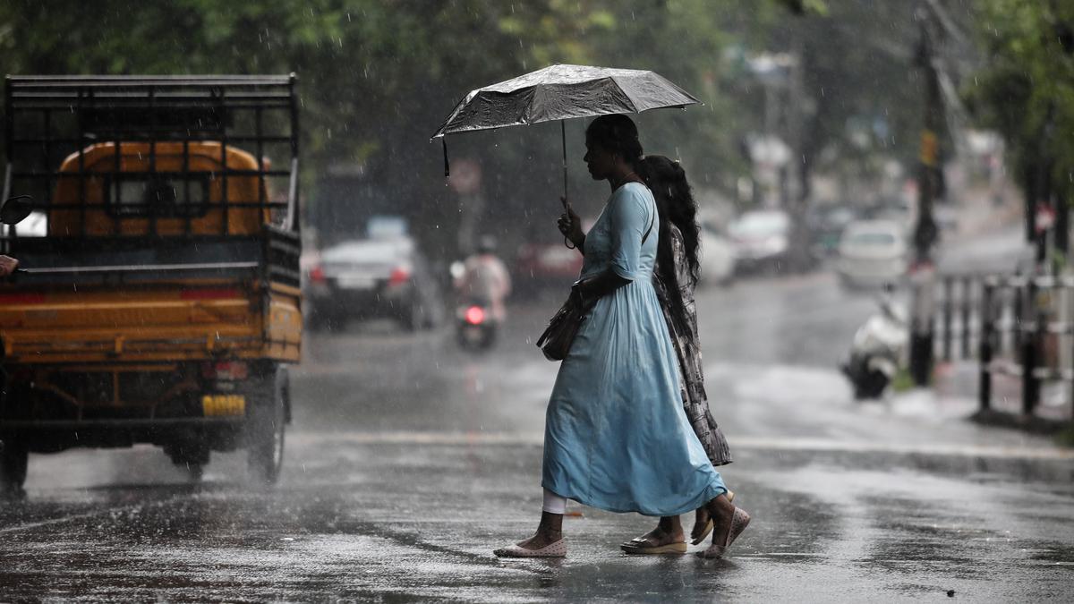 Heavy rains continue in Kerala: IMD sounds orange alert in two districts