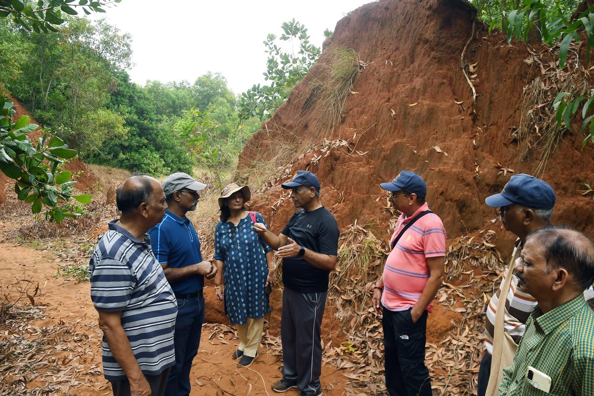 Scientists urge Andhra Pradesh govt. to protect glacial-period coastal red sand dunes of Vizag