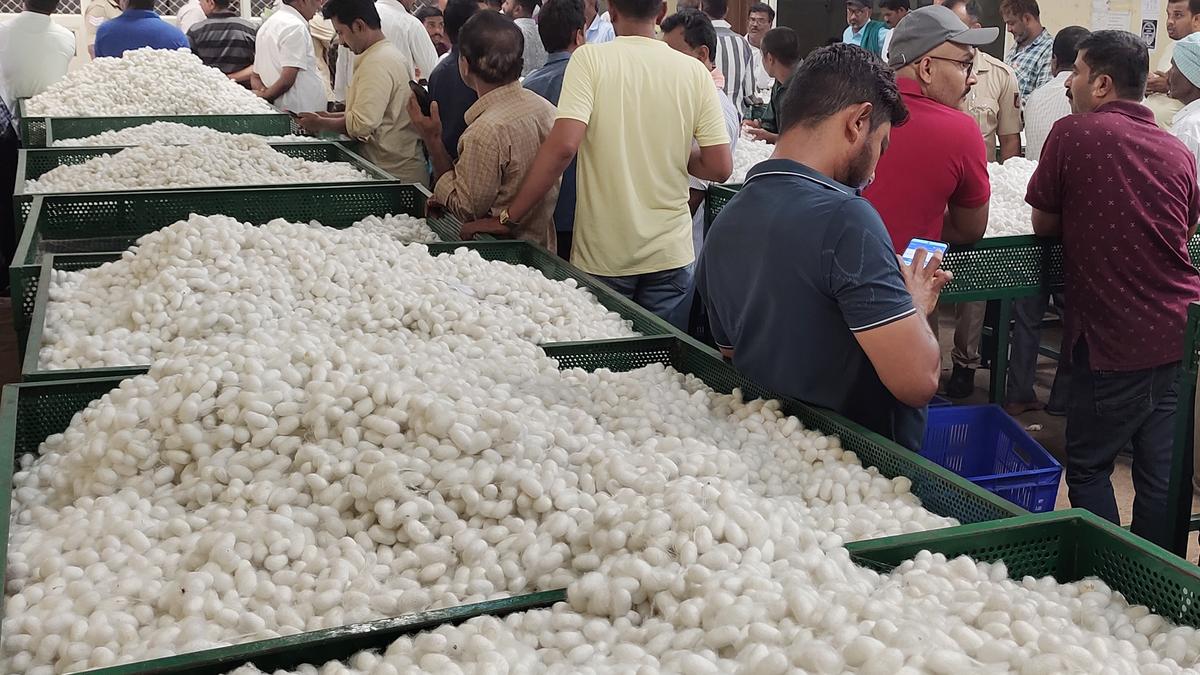 Govt. to promote automatic silk reeling units among middle-class reelers