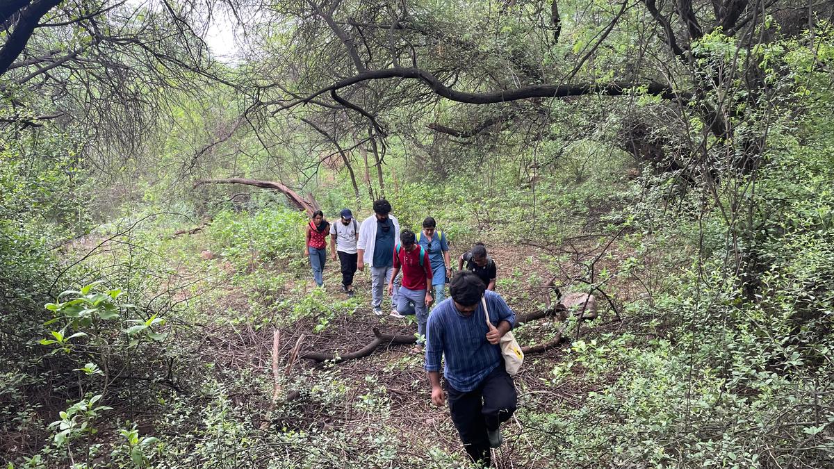 Lal Kot Sanjay Van