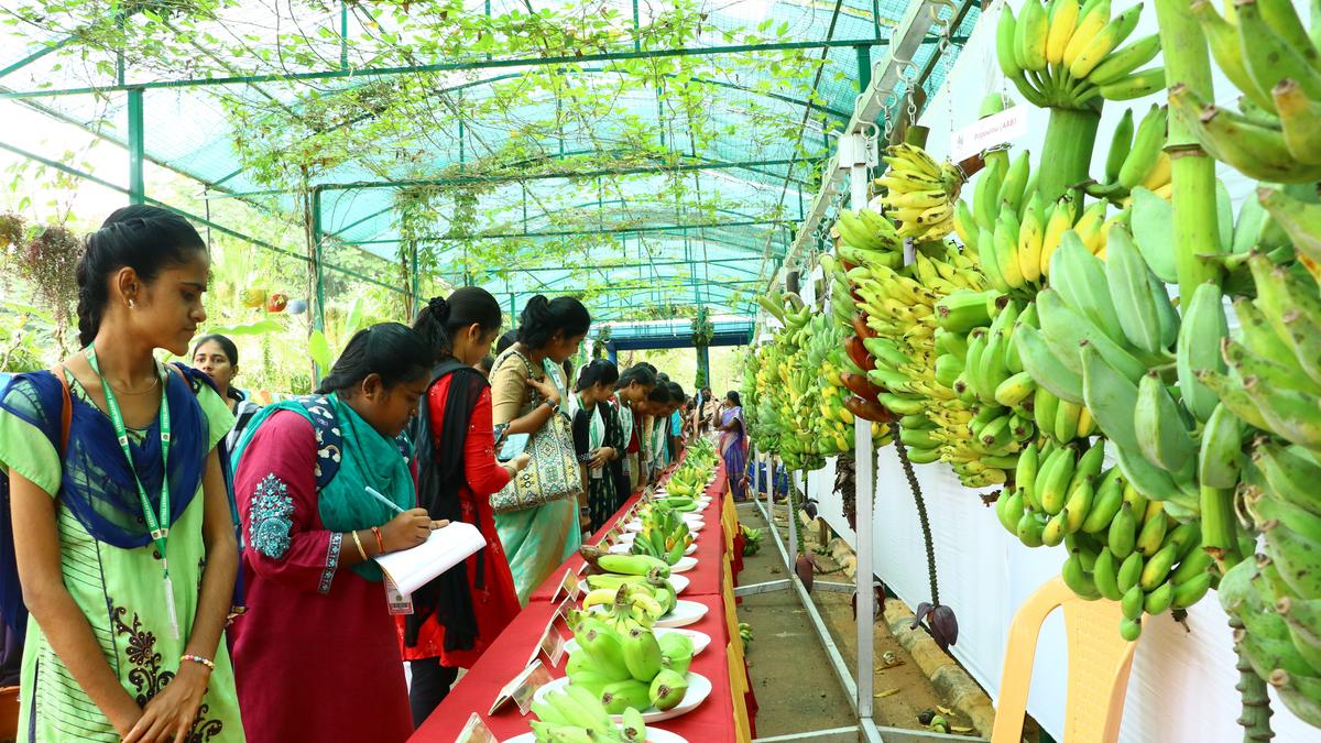 Several colleges, research institutions celebrate National Science Day in Tiruchi