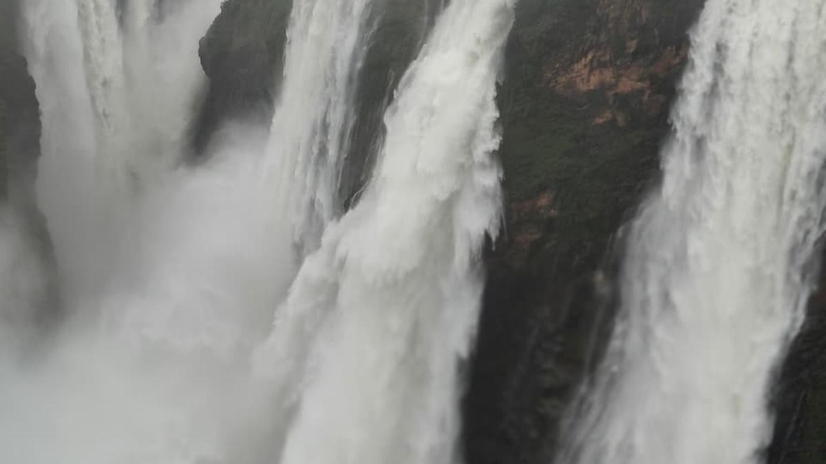 Karnataka rain: Holiday for schools in five taluks of Shivamogga district