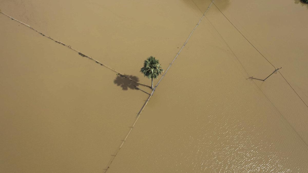 Odisha govt issues SOP to combat urban flooding for coming monsoon