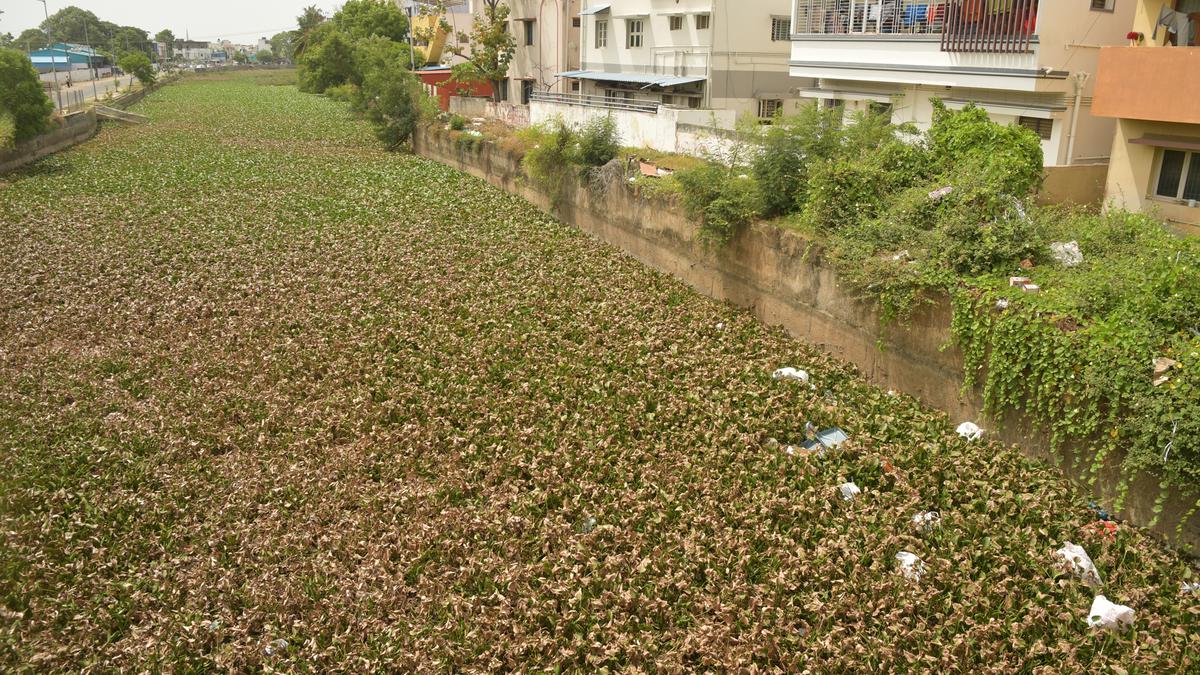 Uyyakondan canal to be fenced to check garbage dumping