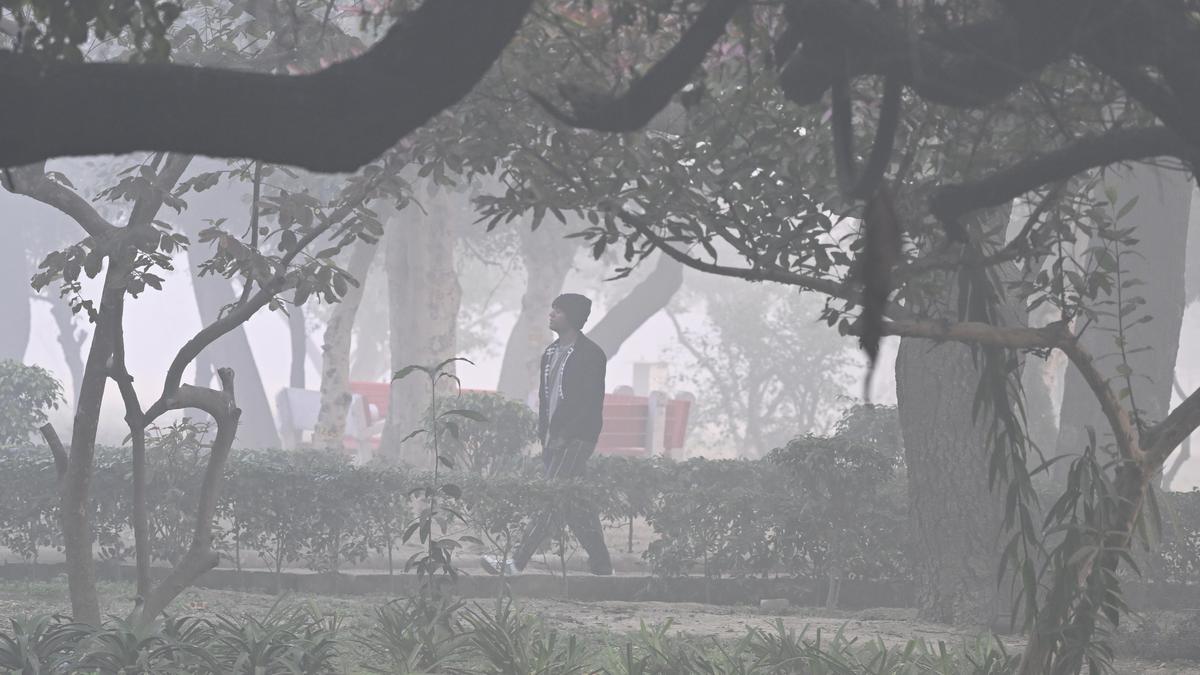 Delhi air remains 'very poor' despite marginal improvement