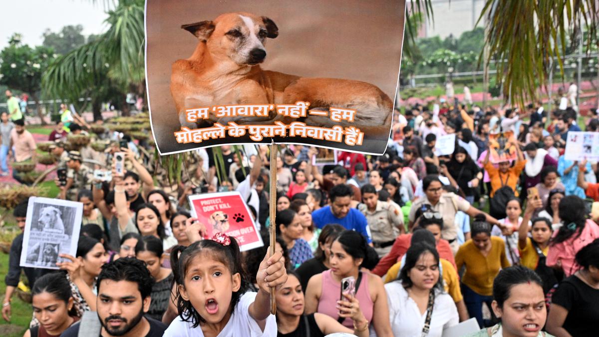 https://th-i.thgim.com/public/incoming/xnhpl8/article69961688.ece/alternates/LANDSCAPE_1200/Animal%20Lovers%20Protest%20New%20Delhi%208.JPG
