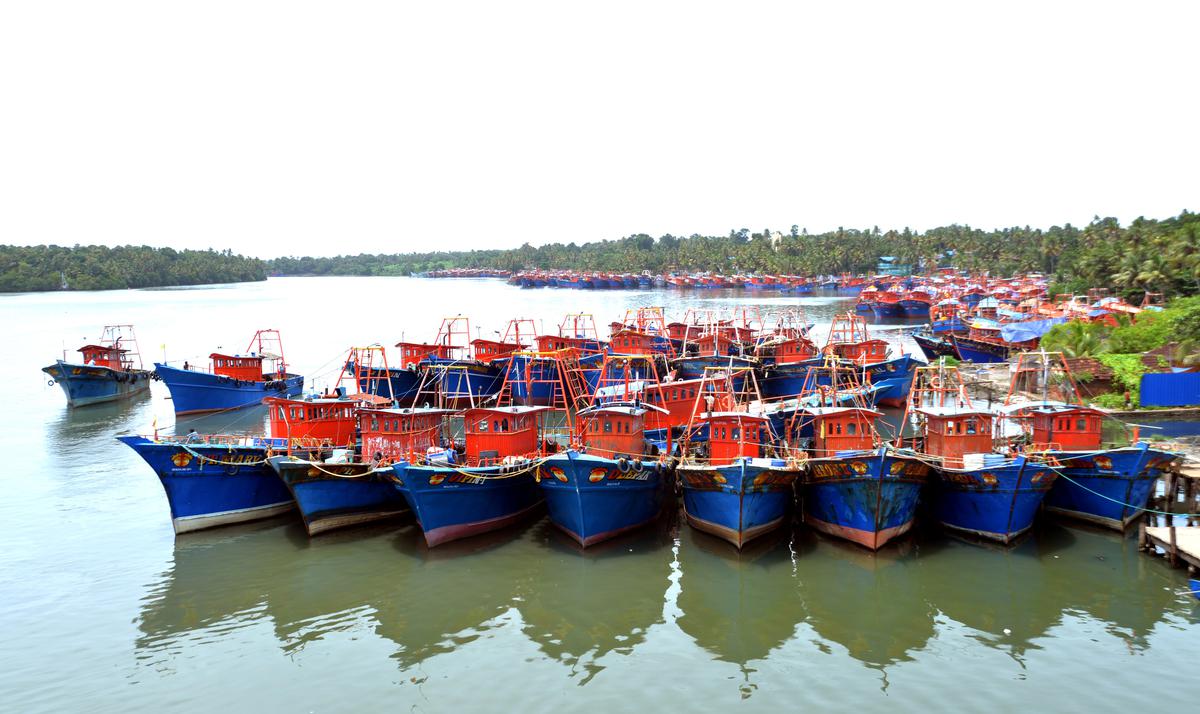 Fisheries sector facing a livelihood crisis - The Hindu