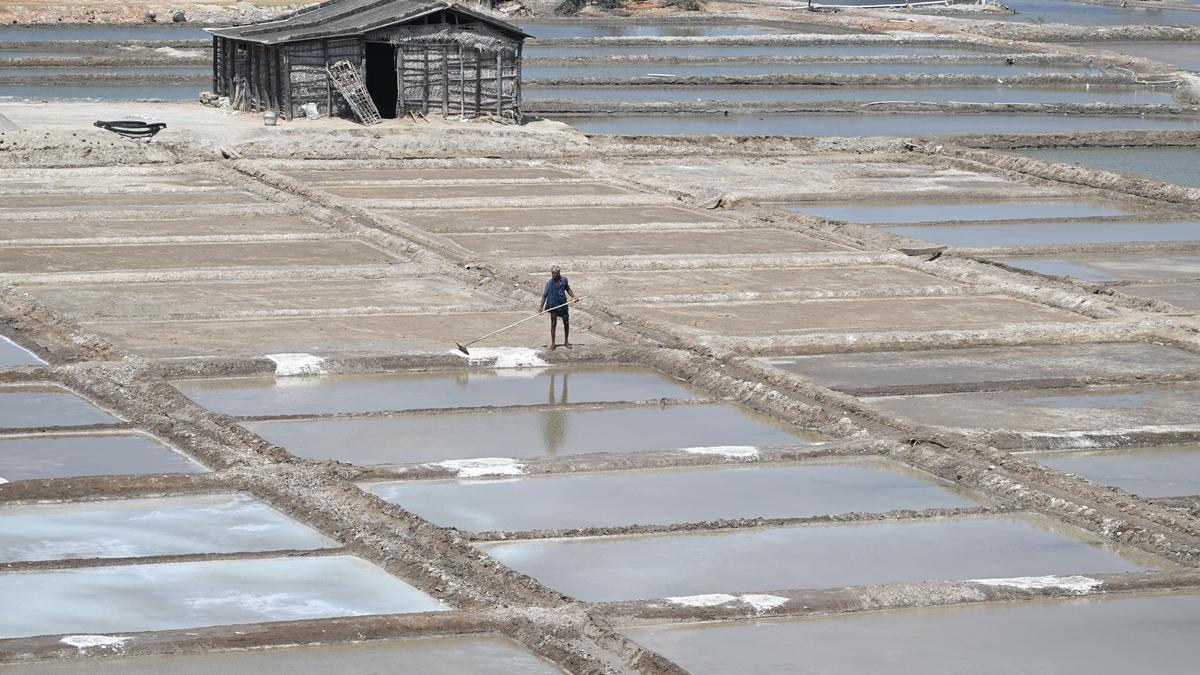 Pre-season works begin at salt pans in Thoothukudi
