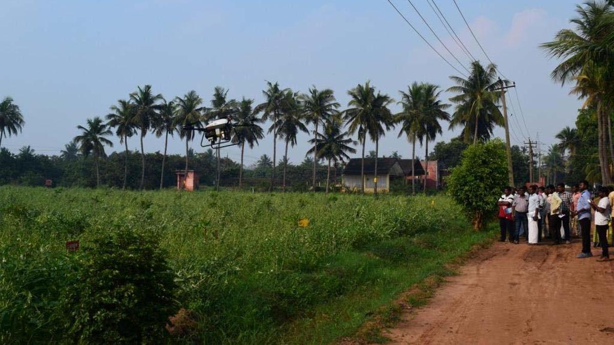 Tamil Nadu election 2026: A litmus test in Vriddhachalam constituency