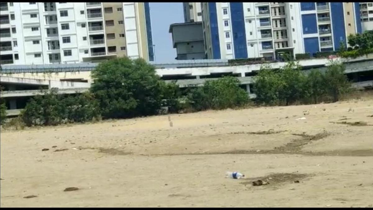 Telangana HC notices over cutting translocated trees at Manikonda