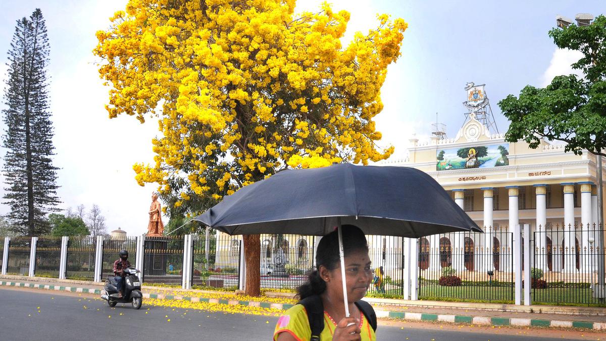 T. Narsipur in Mysuru dist. sizzles at 40.1 degrees C