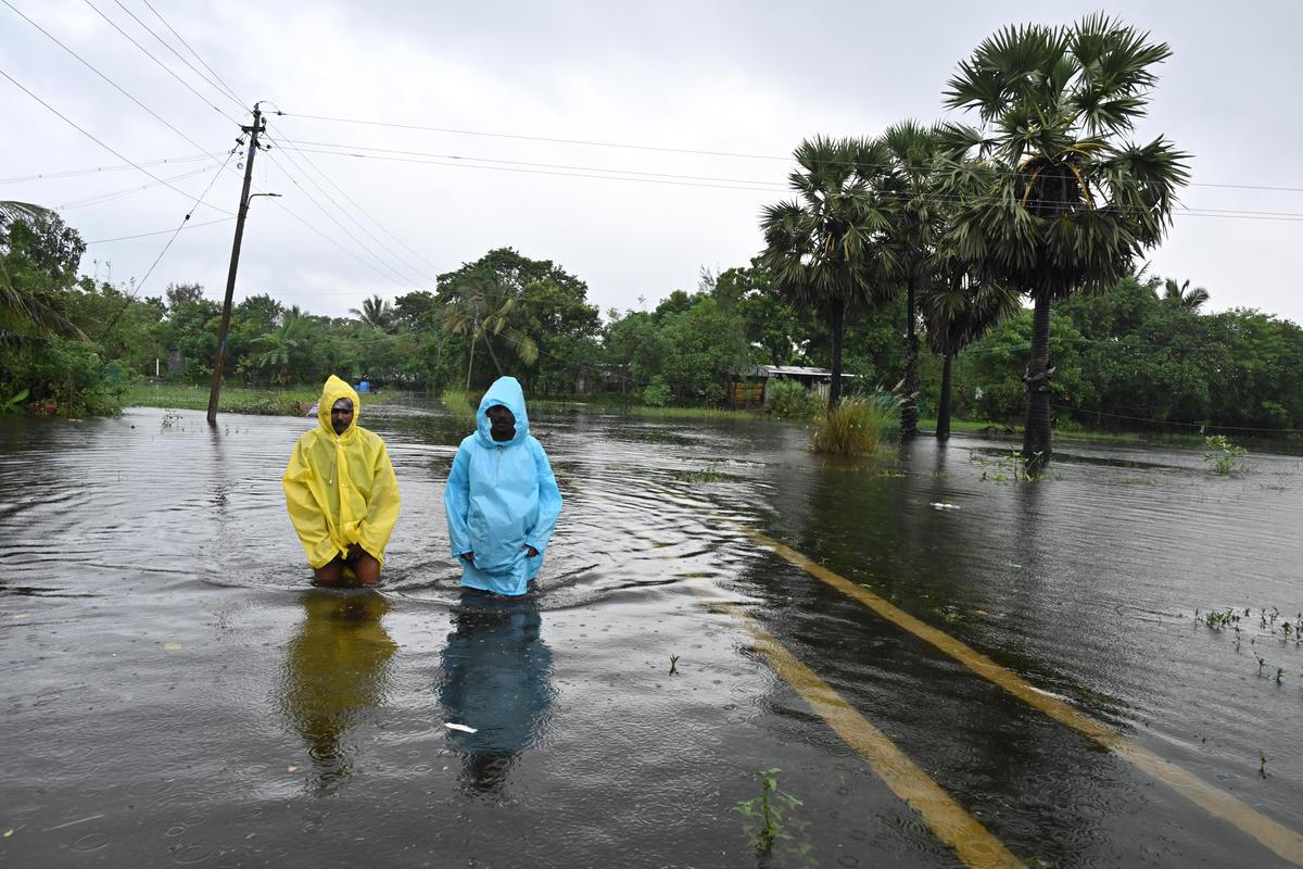 Vedaranyam taluk worst hit with widespread flooding - The Hindu