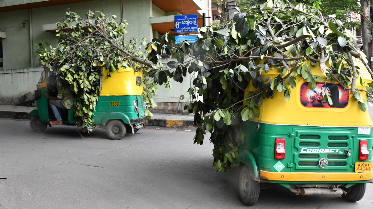 ‘Dual utilisation of autorickshaws for freight and passengers can improve drivers’ earnings by at least 15%’