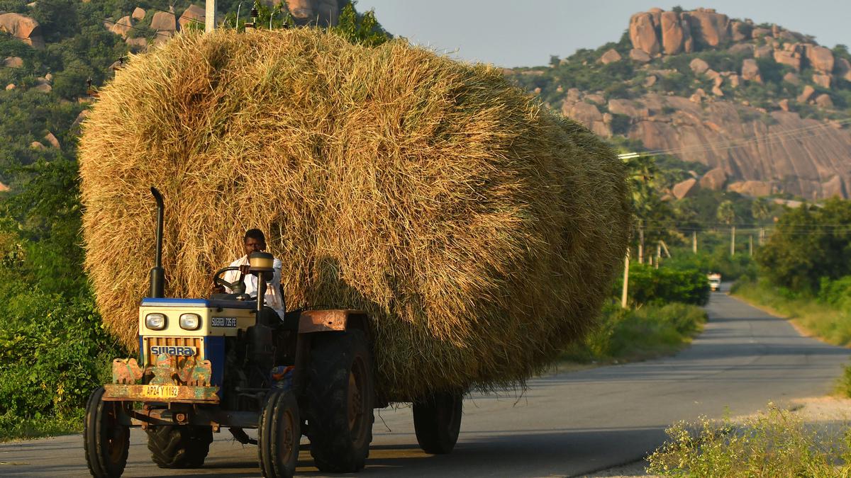 Yadgir district has enough fodder in stock