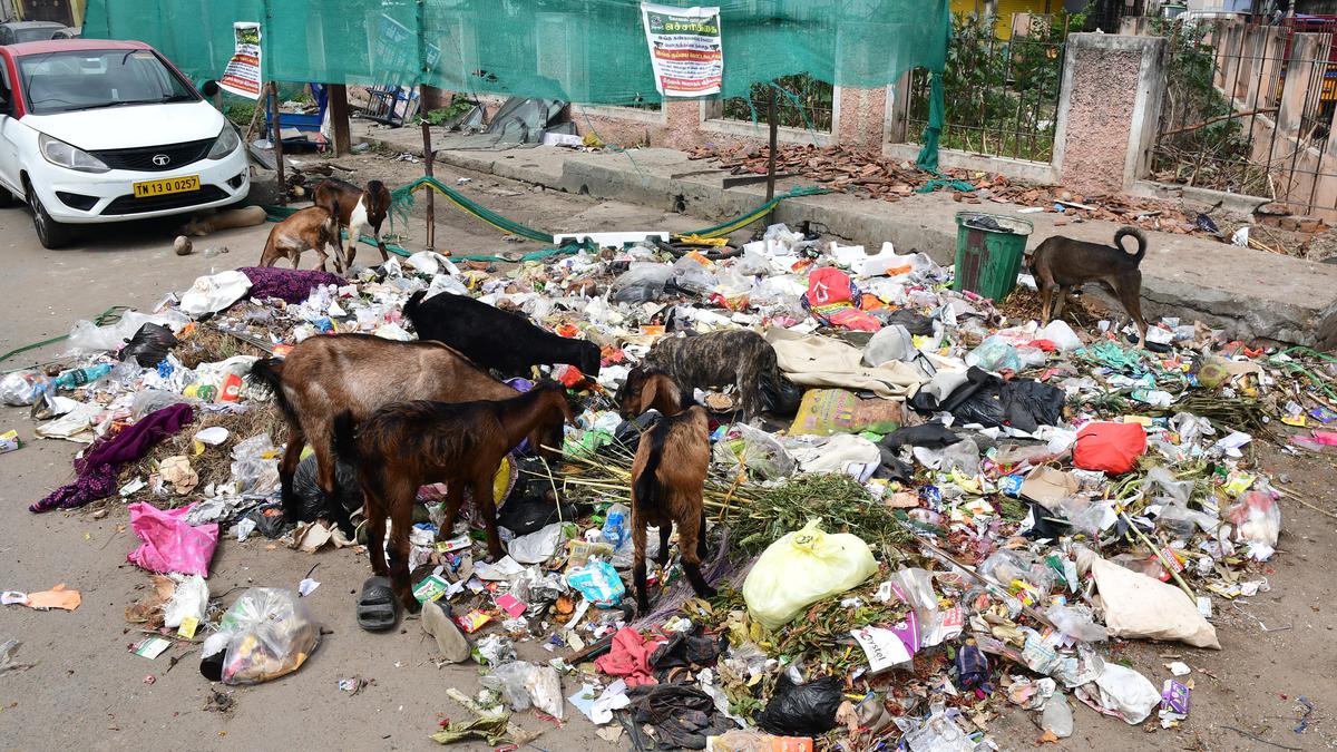 Coimbatore city still struggles to control open dumping of garbage