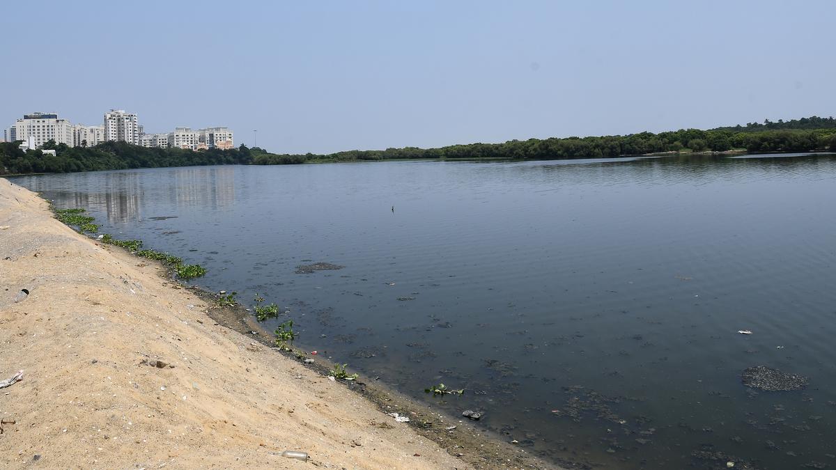 Work to desilt a portion of Adyar river close to estuary to be completed by February